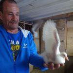 Salford Council Pigeon Loft Eviction at Kersal Vale